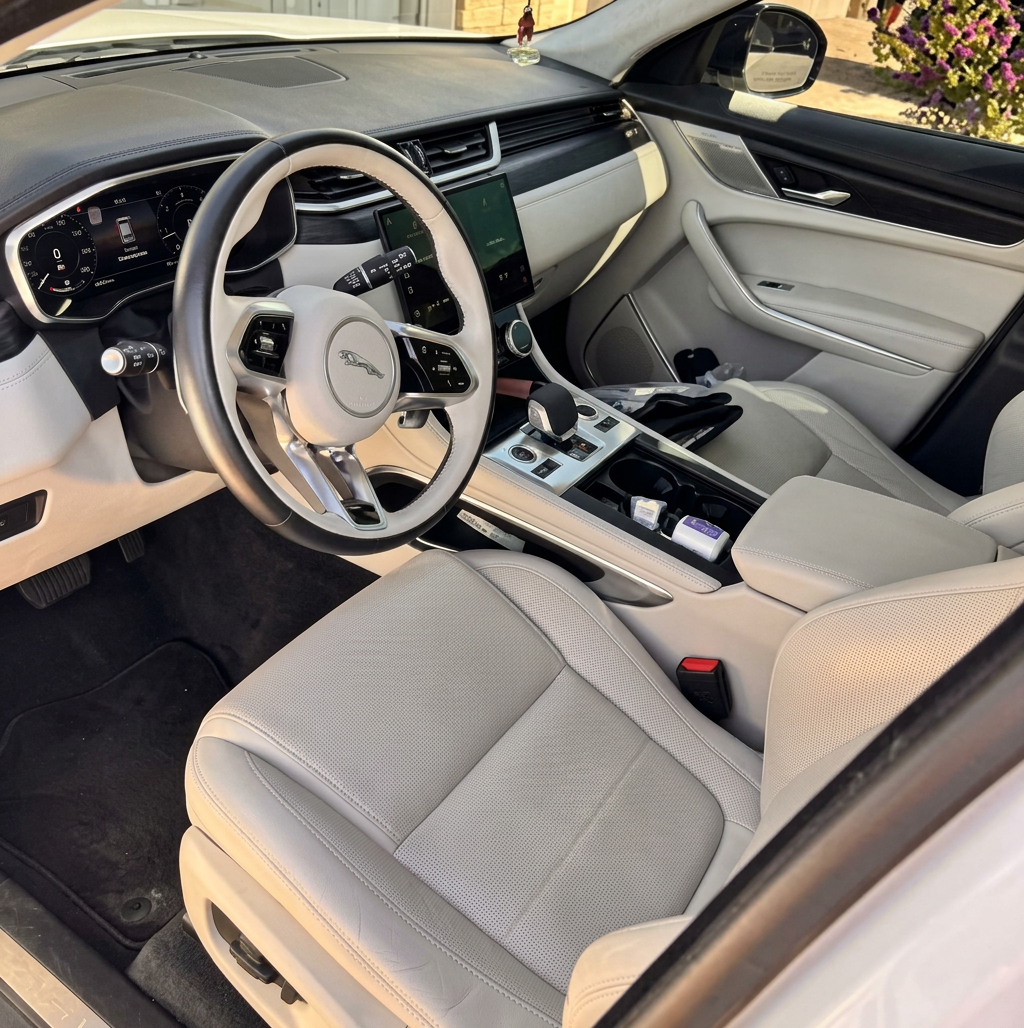 Spotless steering wheel and tan leather front seats